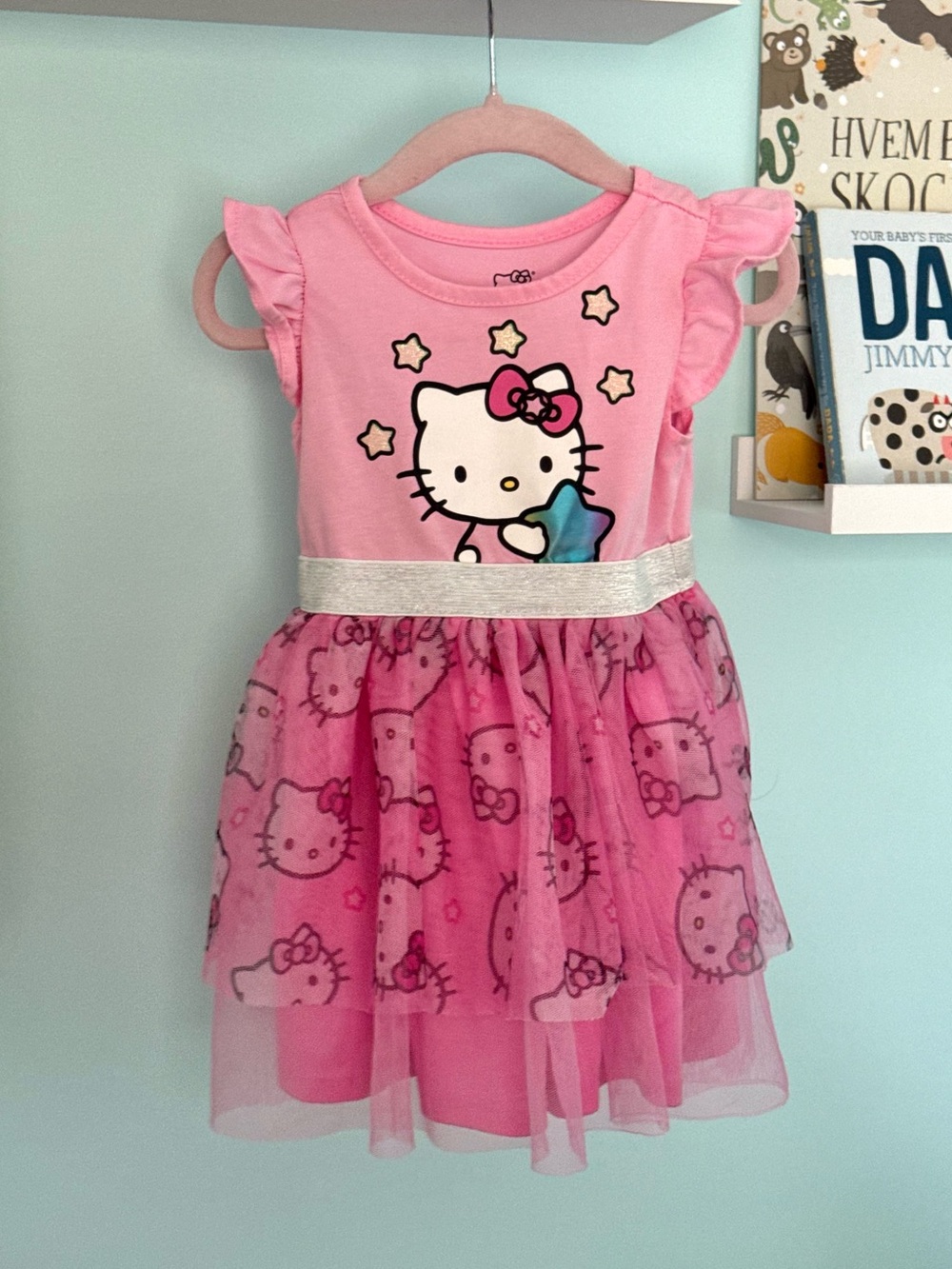 Hello Kitty Pink Tulle Skirt Dress